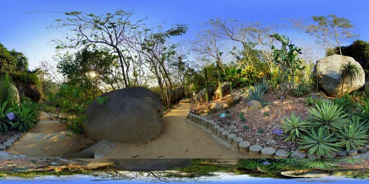 Tour pelo Jardim Botânico de Acapulco